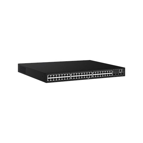NS-SW-48G4G-PL_1