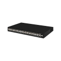 NS-SW-48F2G-P NS-SW-48F2G-P